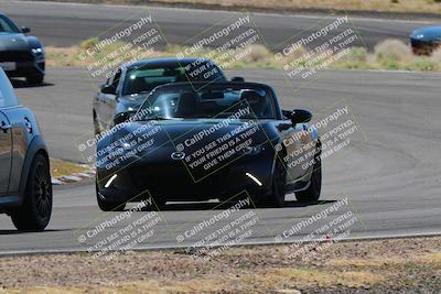 media/Apr-06-2025-Extreme Speed (Sun) [[ad1499d5ff]]/Blue group/Turn 3/